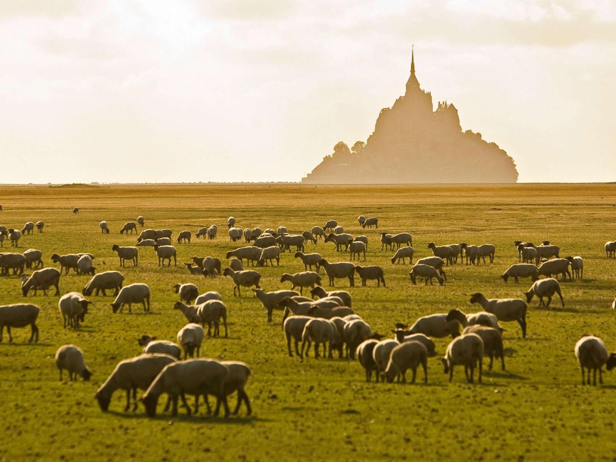 Hotelf1 Avranches Baie Du Mont Saint Michel エクステリア 写真